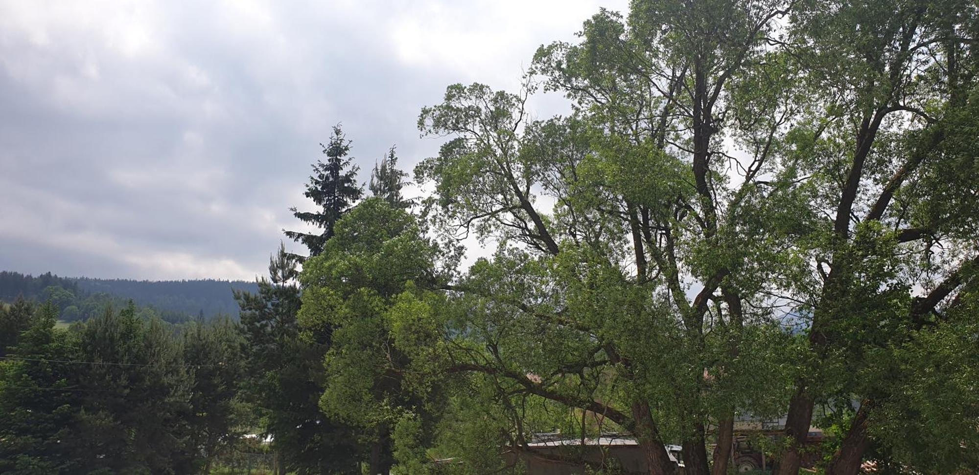 Zajazd Stronie Stronie Śląskie Esterno foto